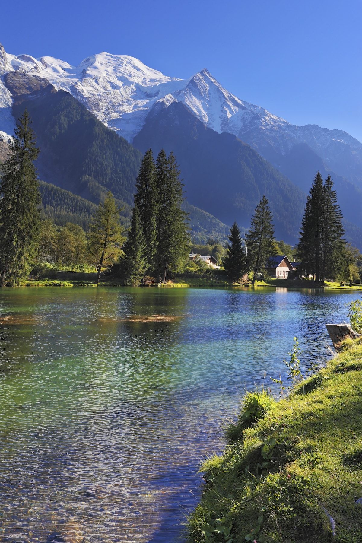 ANDORRA VENTURES LLC